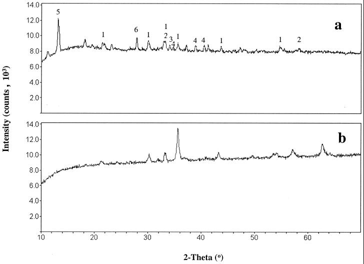 FIG. 3