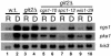 FIG. 7.