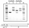 FIG. 5.