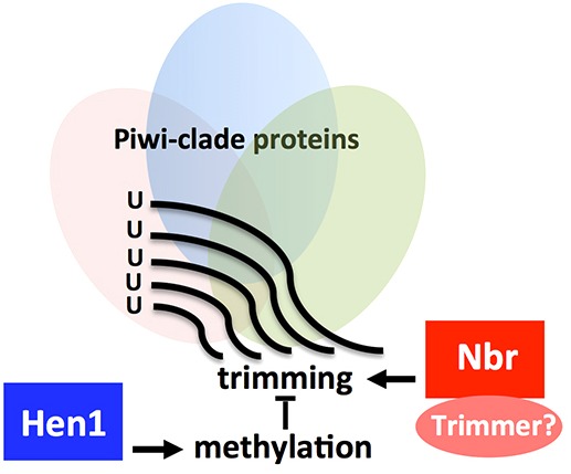 Fig. 8.