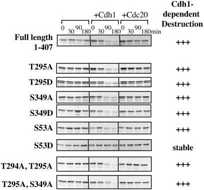 Fig 4.