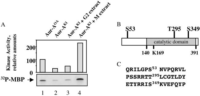 Fig 1.