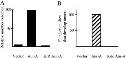 Fig 5.