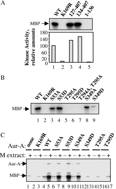 Fig 2.