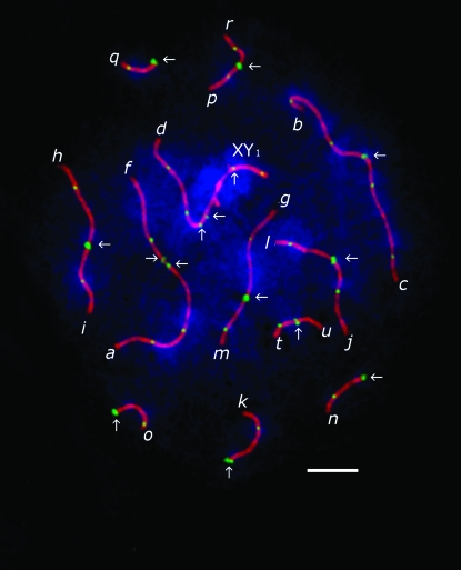 Figure 1.—