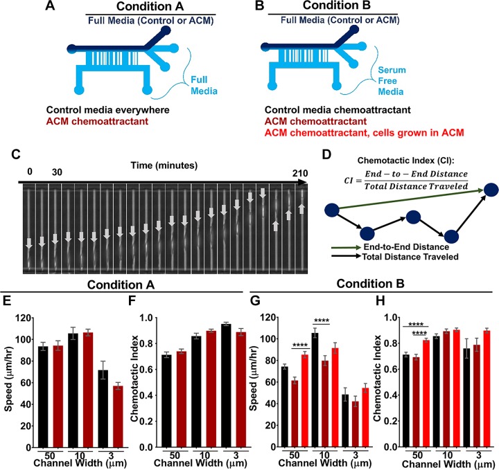 Figure 11.