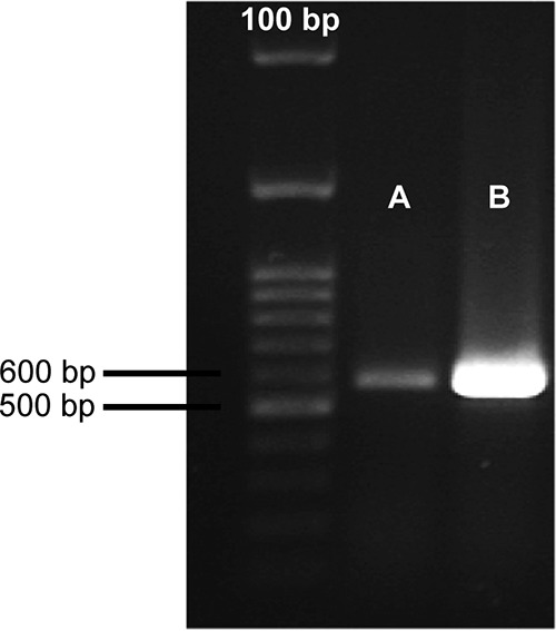 FIG 2