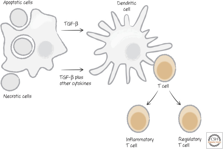 Figure 23.