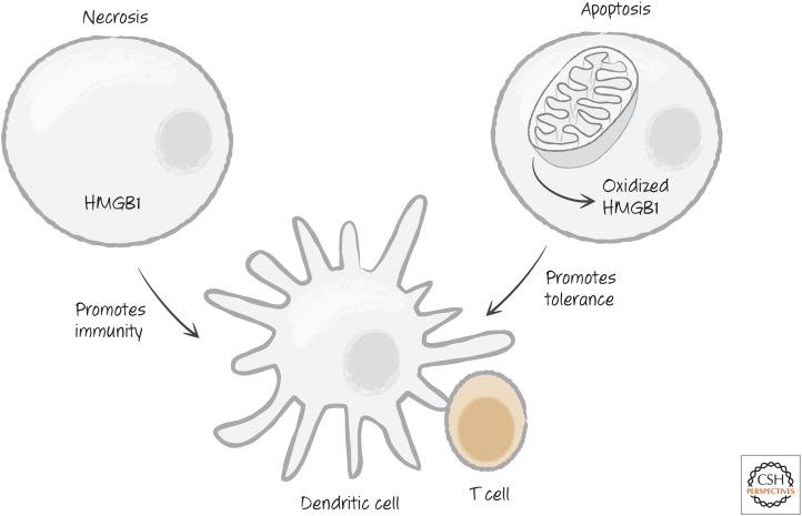 Figure 22.