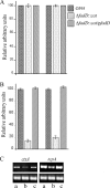 FIG. 3.