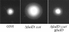 FIG. 9.