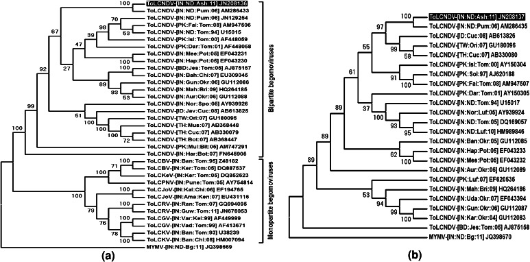 Fig. 2