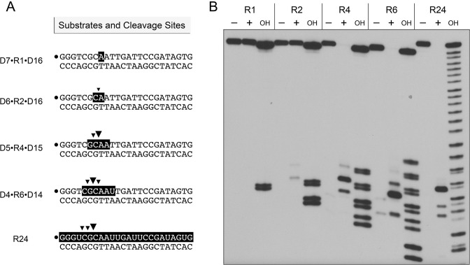 Figure 5.