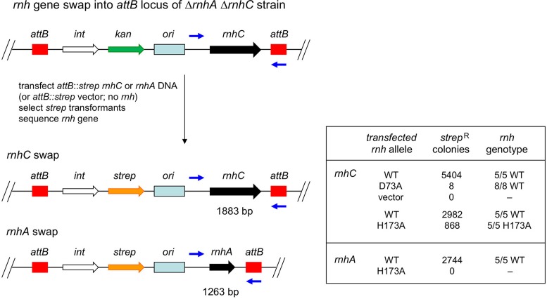 Figure 9.