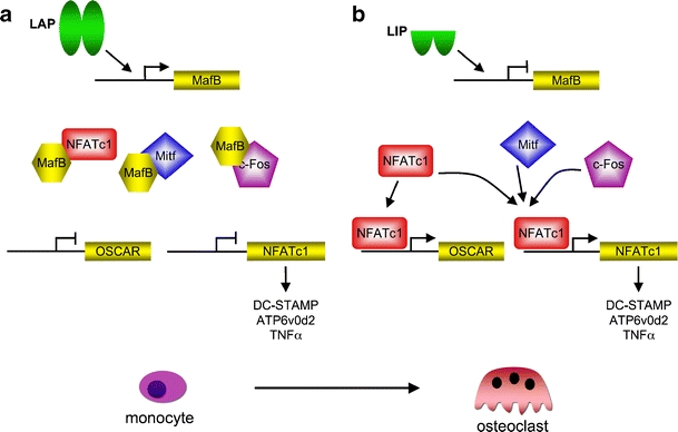 Fig. 2