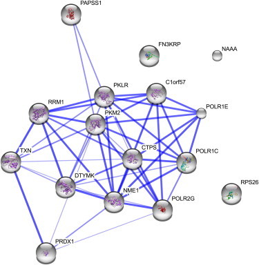 Figure 4