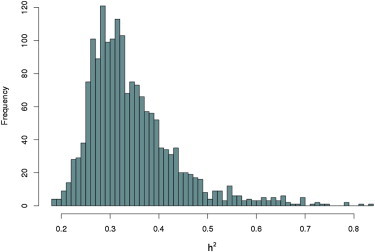 Figure 1