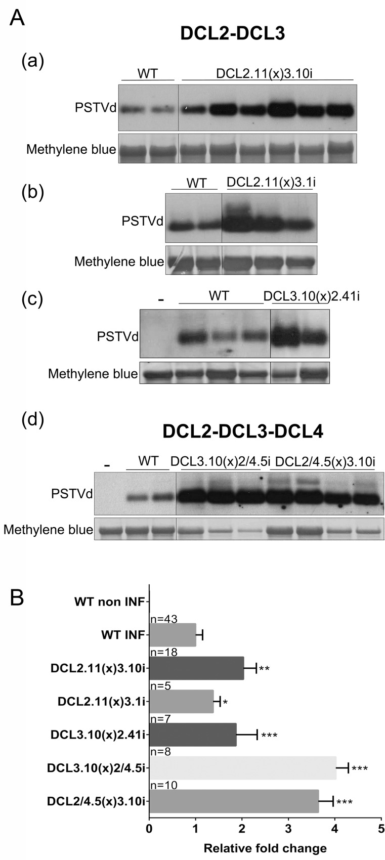 Fig 6