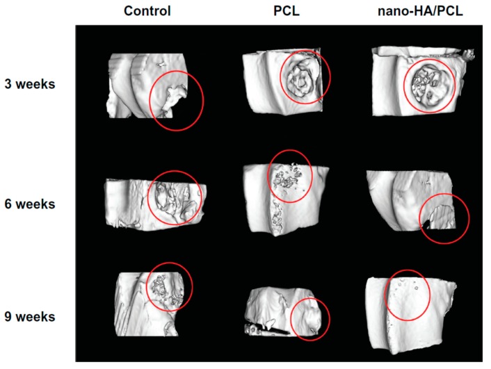 Figure 37