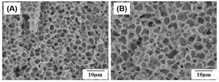 Figure 22