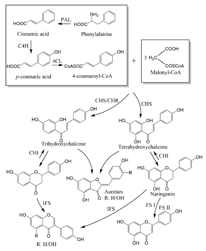 Figure 13