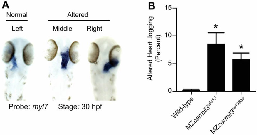 Figure 7.