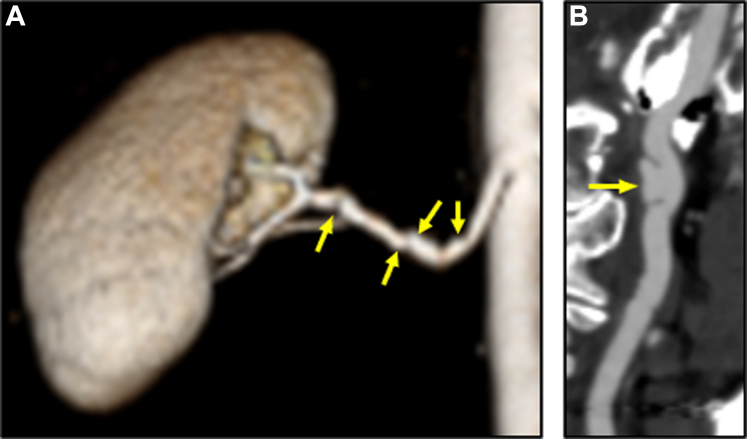 Figure 5