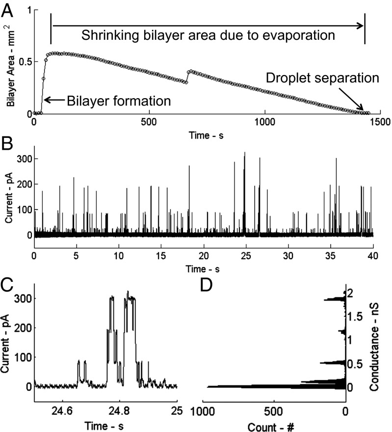 Fig. 4.