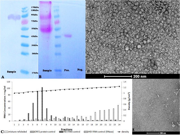 Fig 4