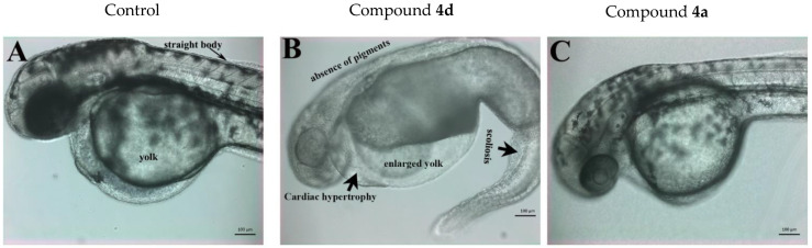 Figure 8