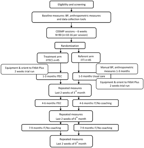 FIGURE 1