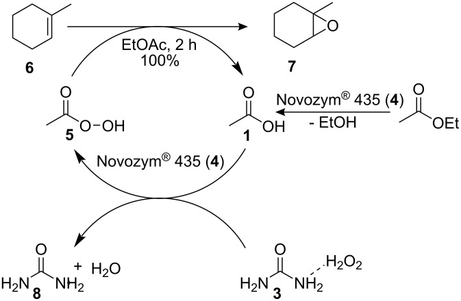 Scheme 2