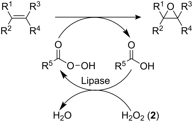 Scheme 1