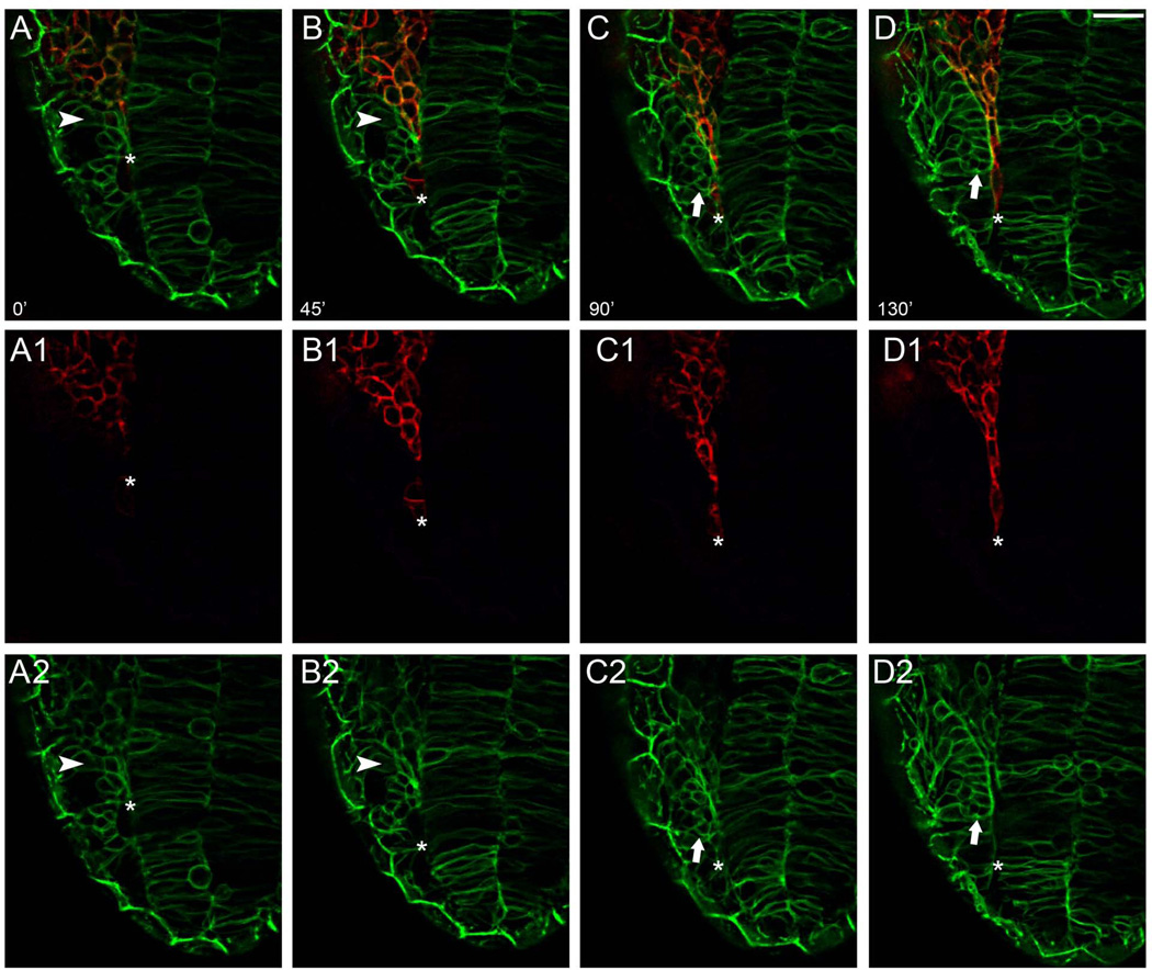 Figure 6