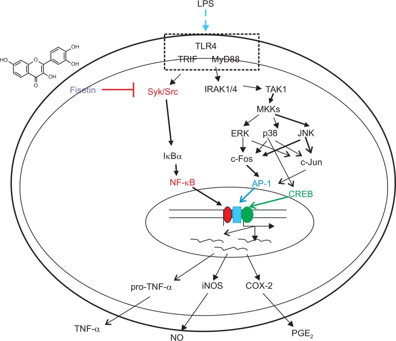 Fig. 6.