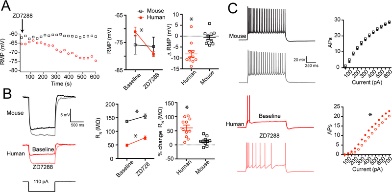 Figure 6 –