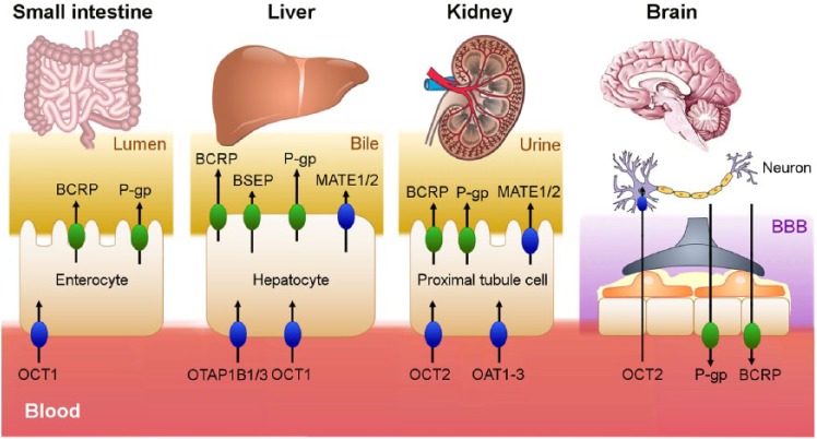 Figure 2.