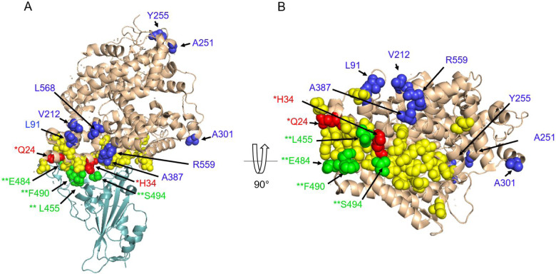 Figure 3.