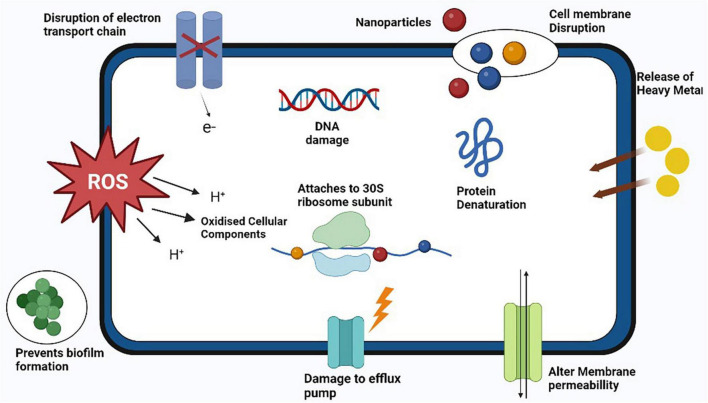 FIGURE 6