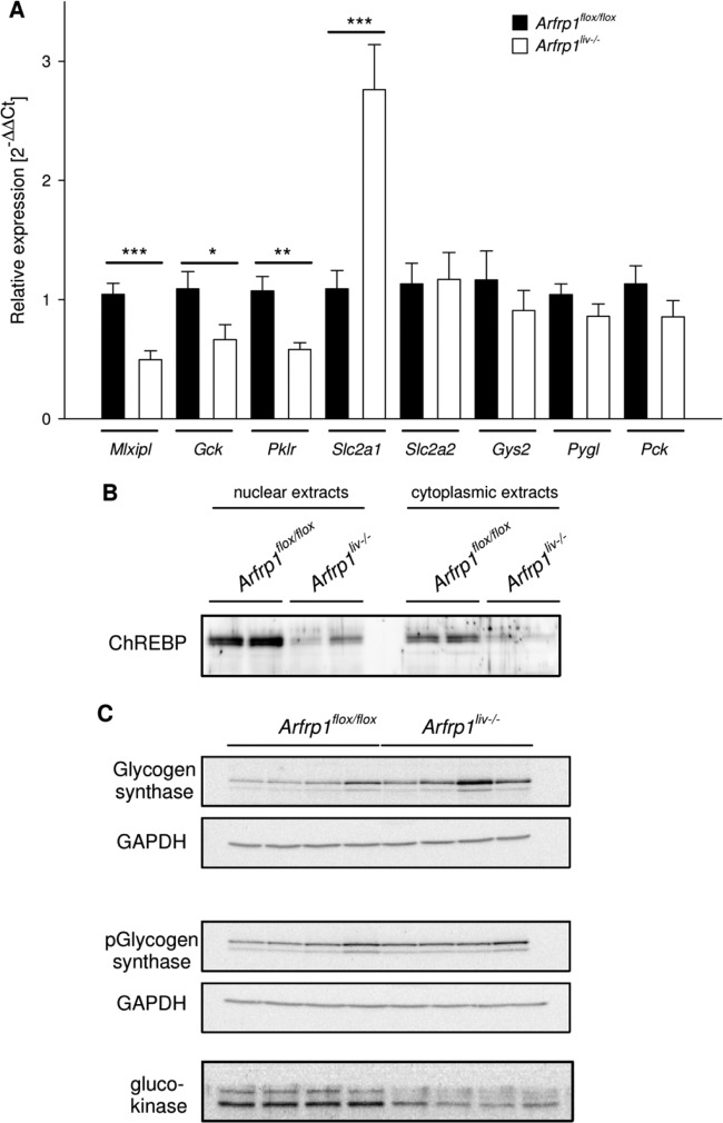 Fig 7