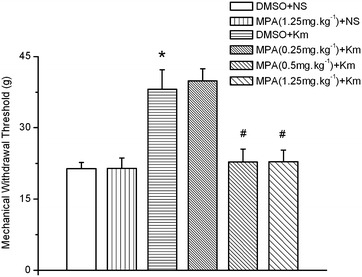 Fig. 7