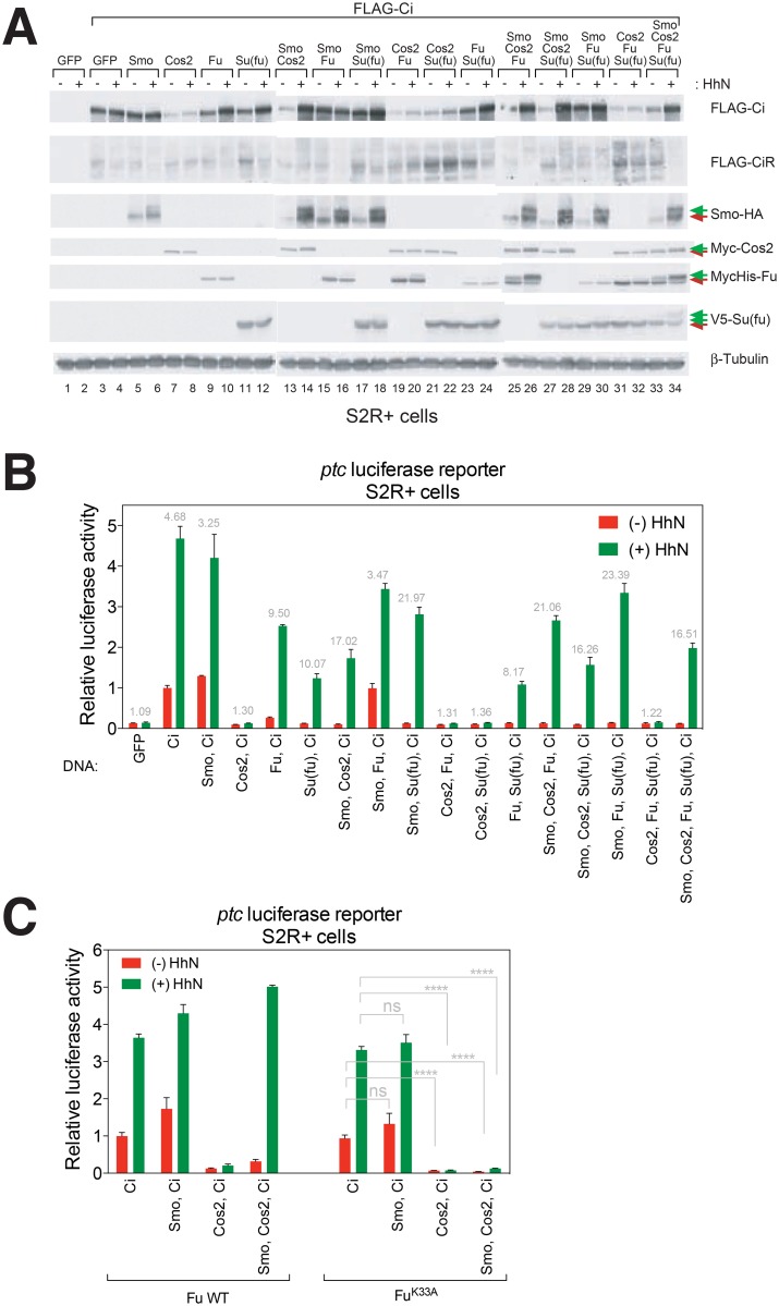 Fig 3