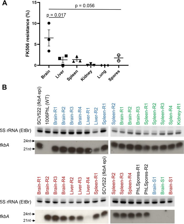 FIG 3