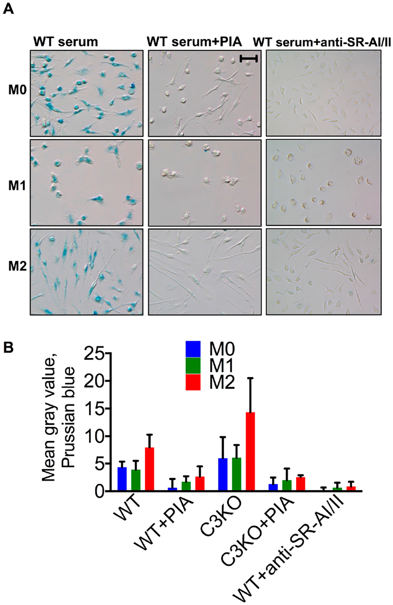 Figure 5.