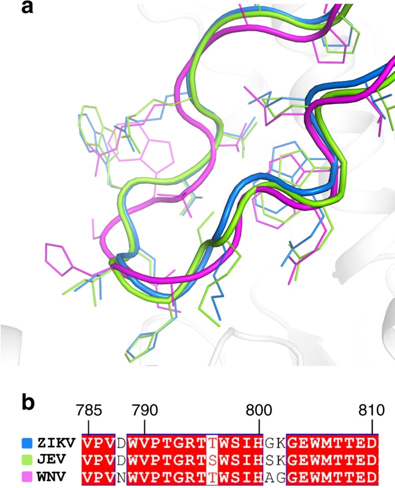 Figure 5