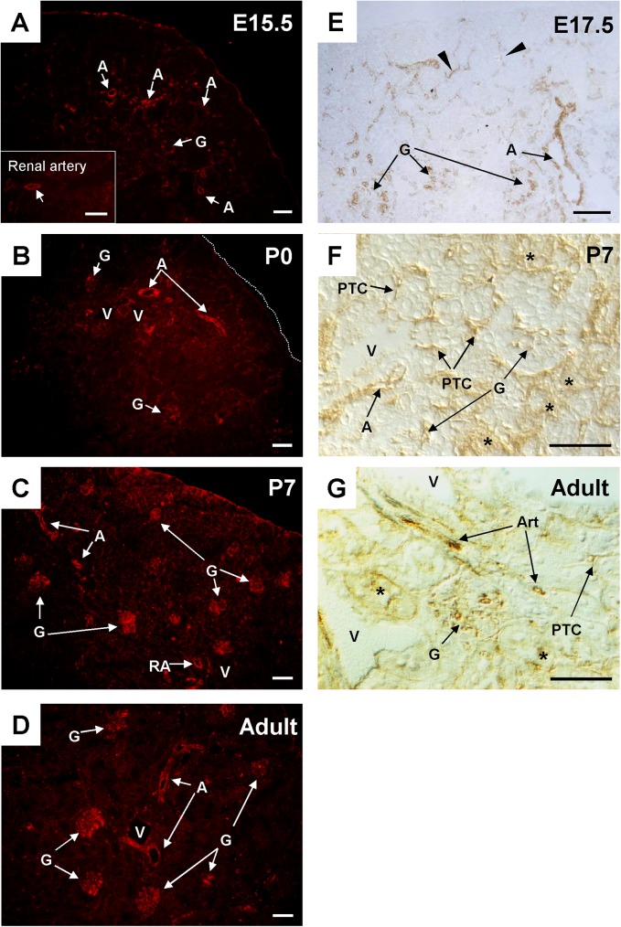 Fig 8