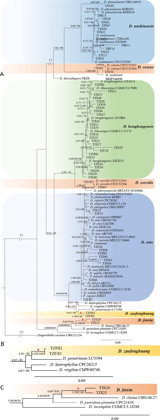 Figure 2.