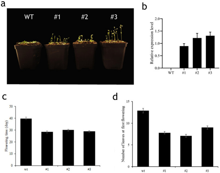 Figure 6