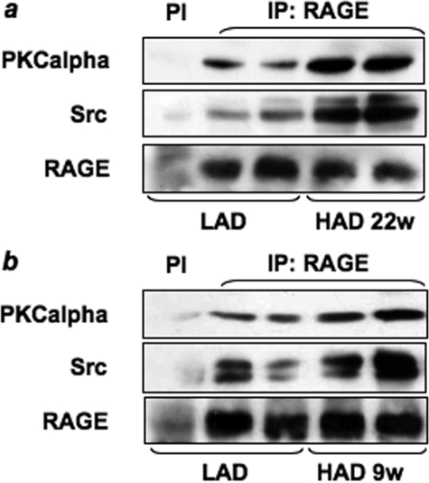 FIGURE 11.