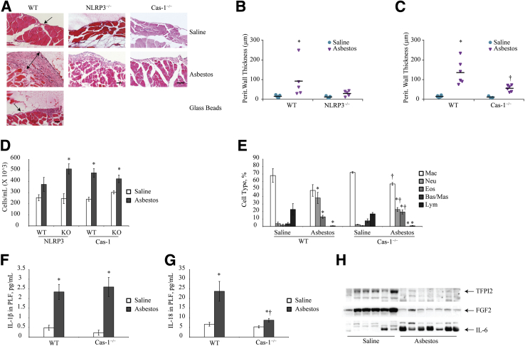 Figure 6